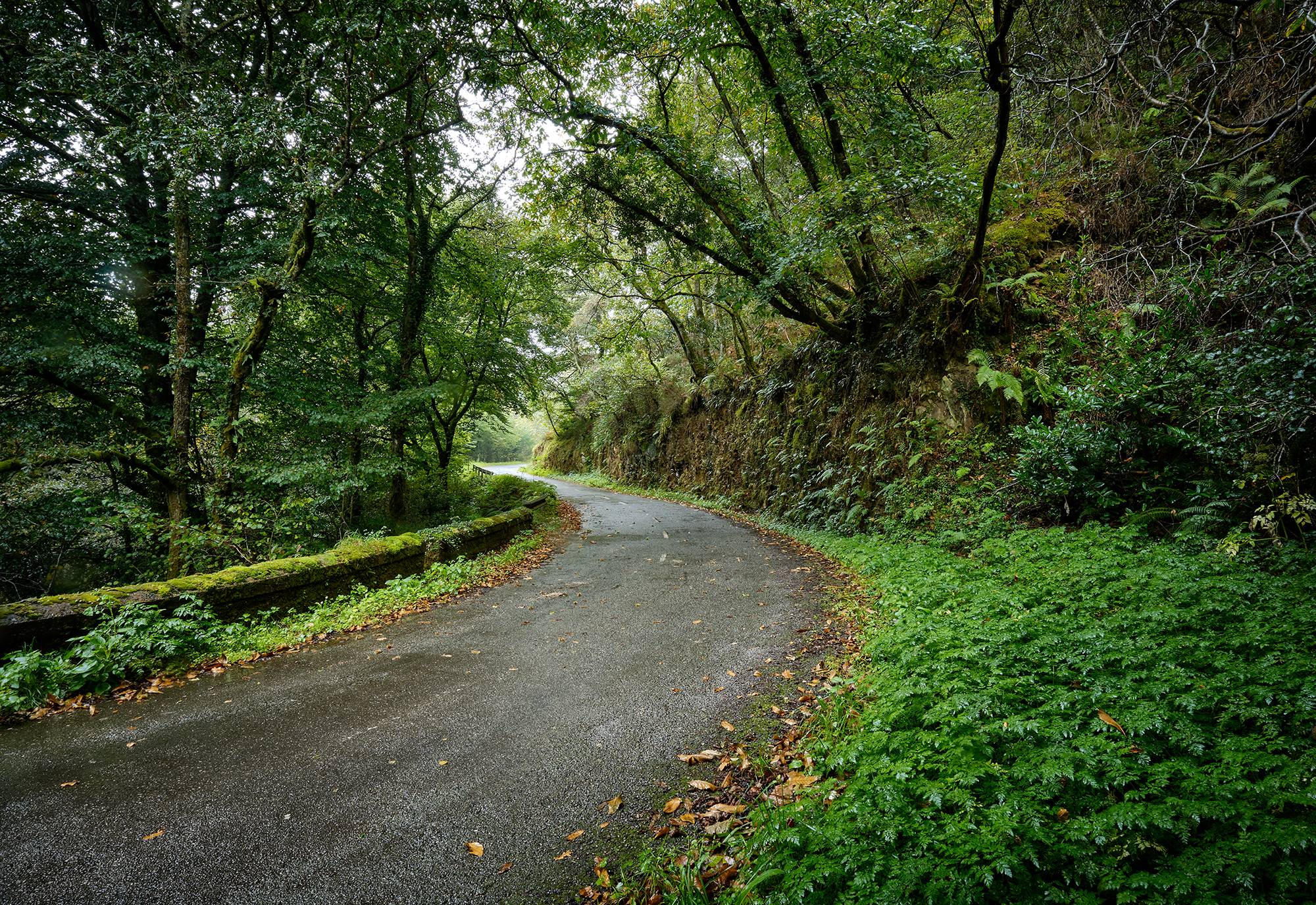 Carretera en Cudillero