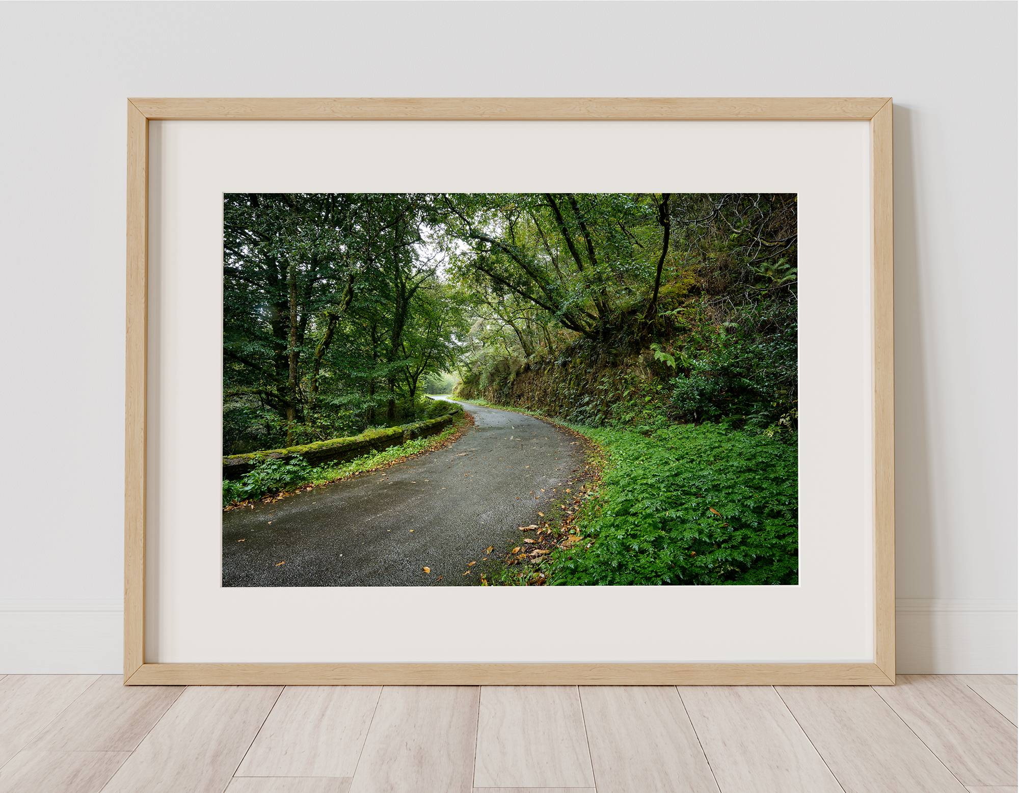 Carretera en Cudillero - Imagen 3