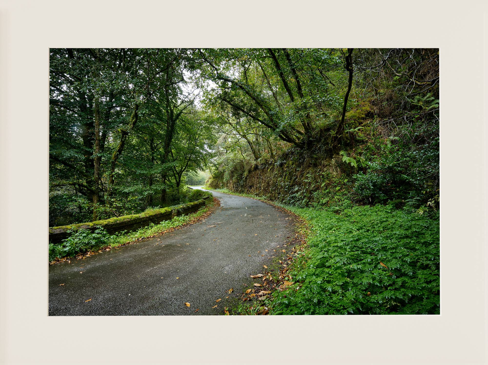 Carretera en Cudillero - Imagen 2