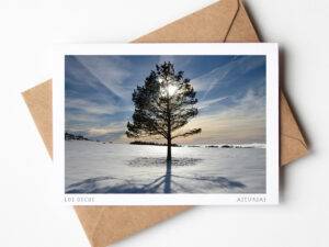 Postal Los Oscos nevado