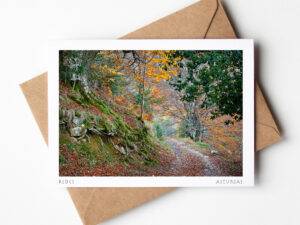 Postal paseo Otoñal en Redes