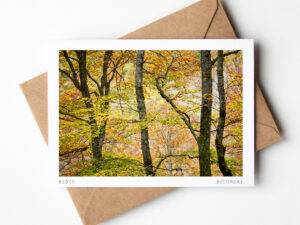 Postal Ramas otoñales en Redes
