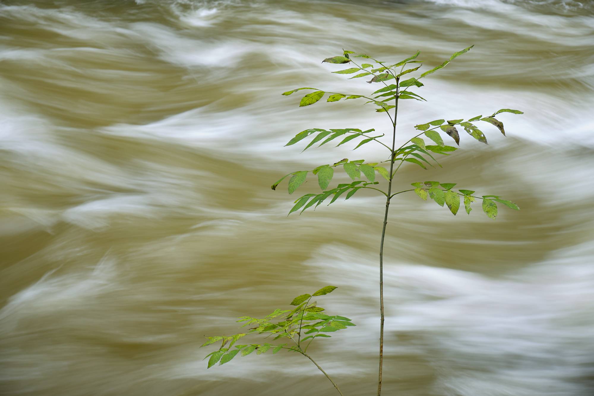 El río Esva fluye