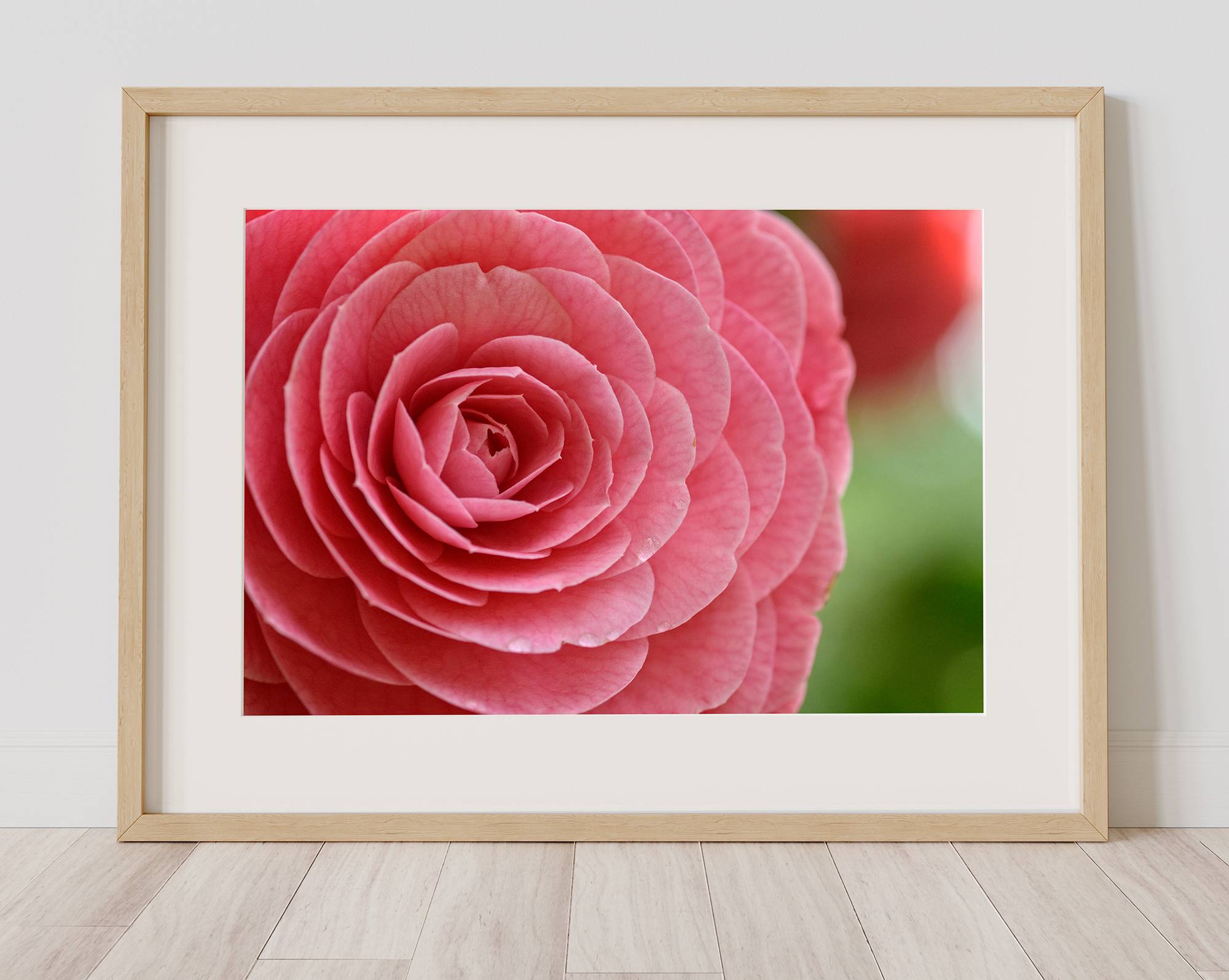 cuadro con flor rosa