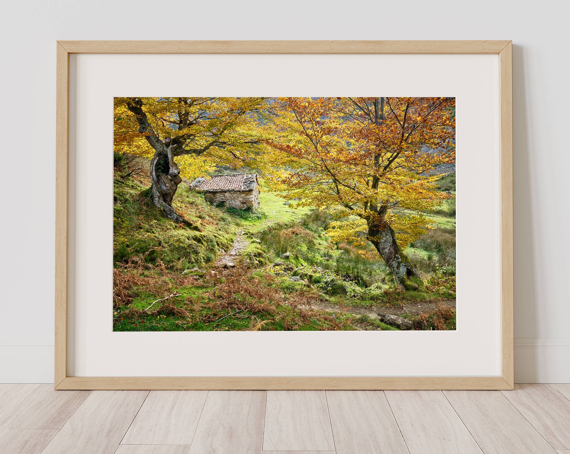 Otoño en el Gumial - Imagen 3