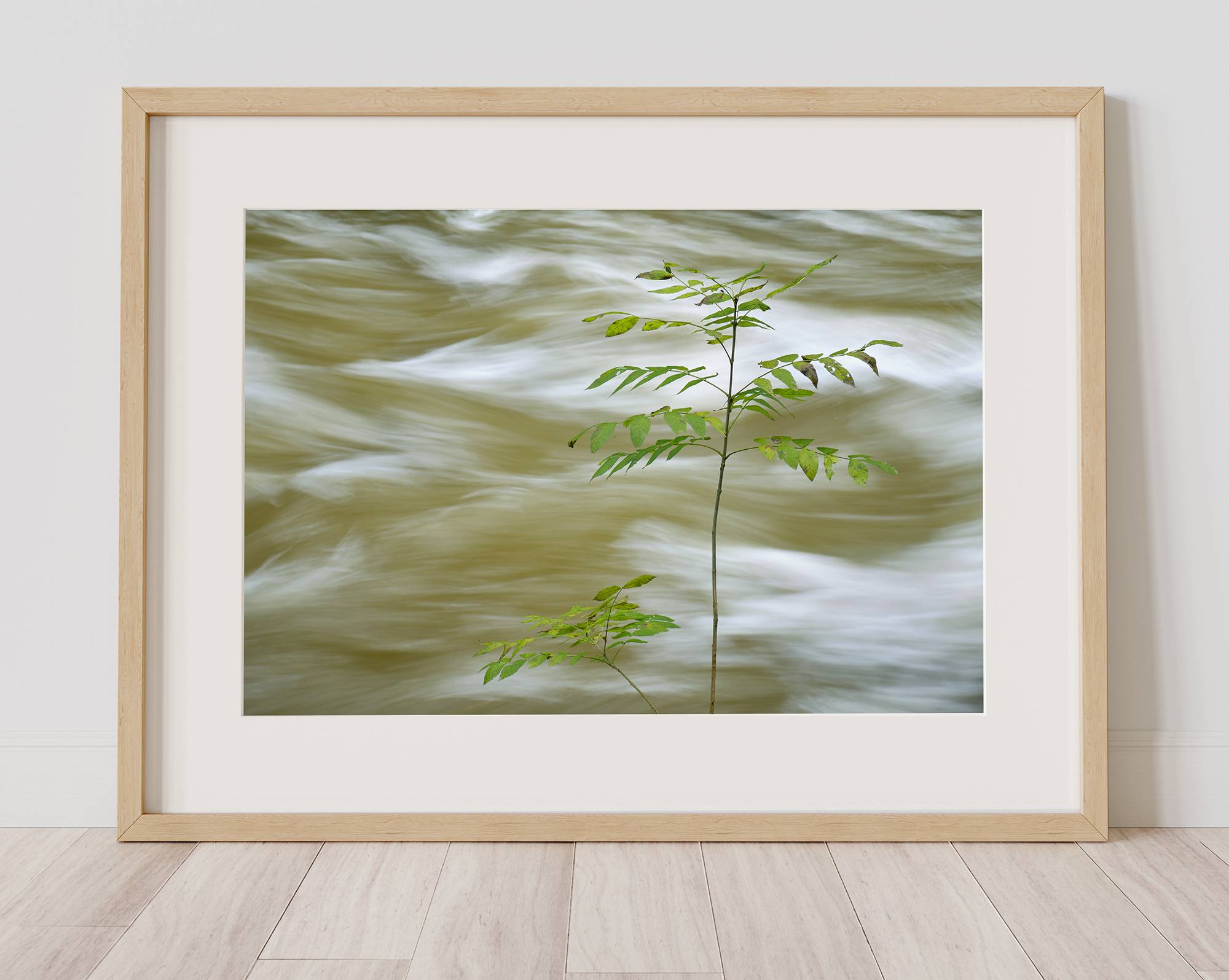 El río Esva fluye - Imagen 3