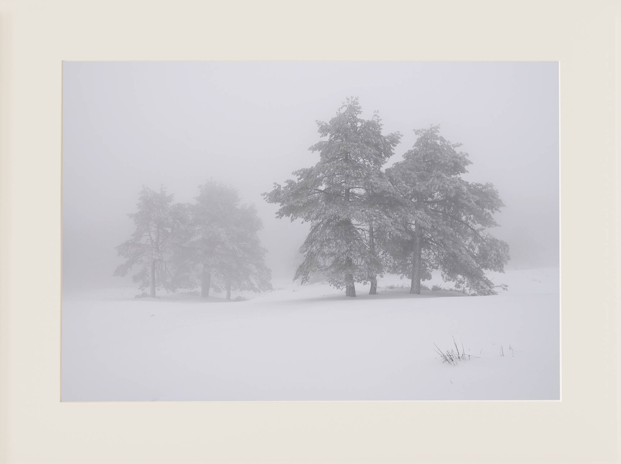 Paisaje nevado en Tineo - 1 - Imagen 2