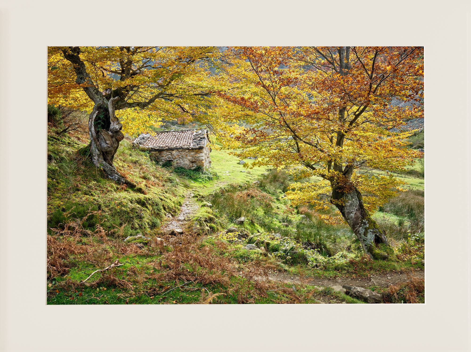 Otoño en el Gumial - Imagen 2