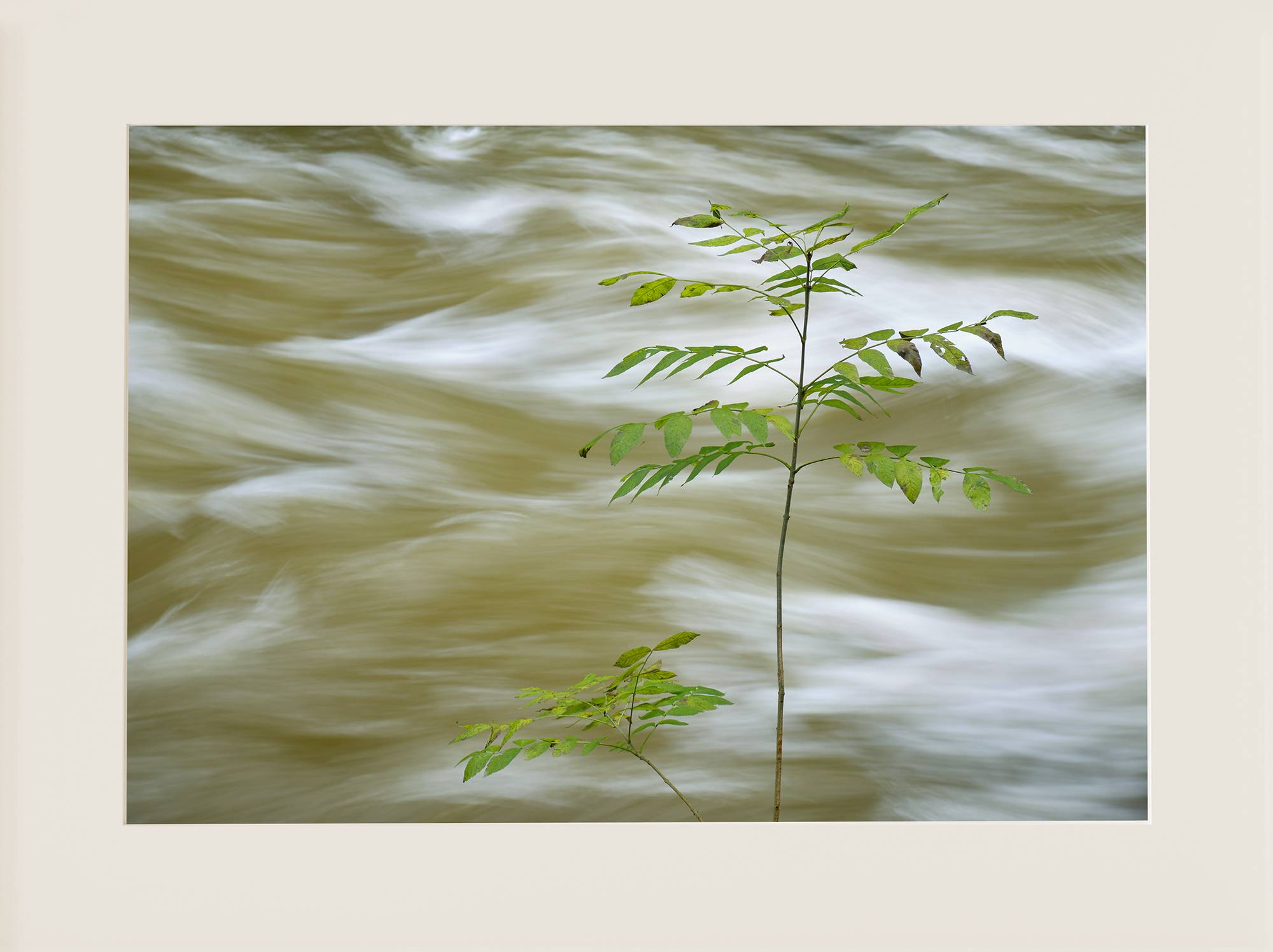 El río Esva fluye - Imagen 2