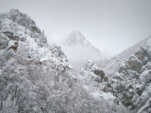 Paisaje invernal en Tarna, en el parque Natural de Redes