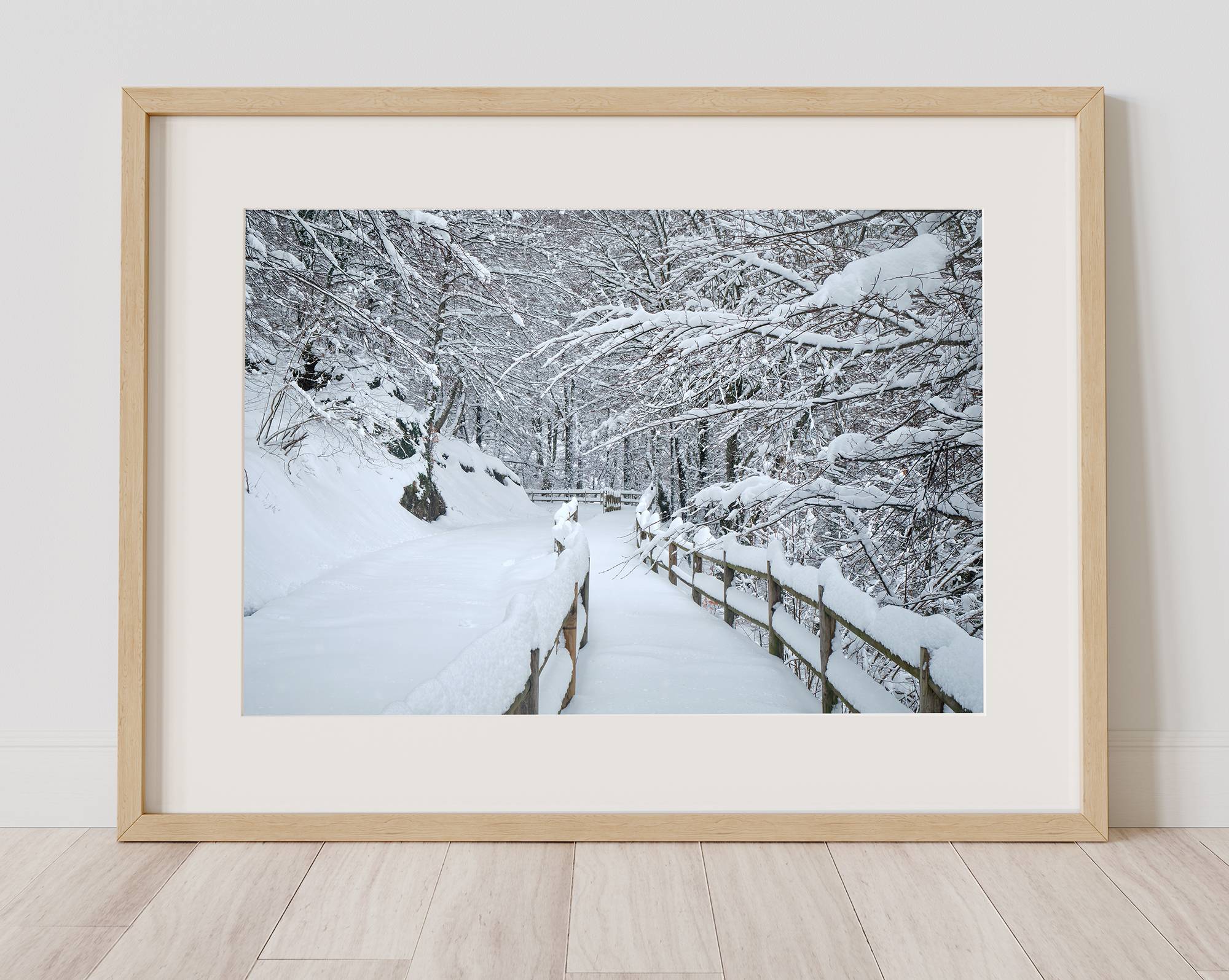 Hayedo de Montegrande, nevado -1 - Imagen 3