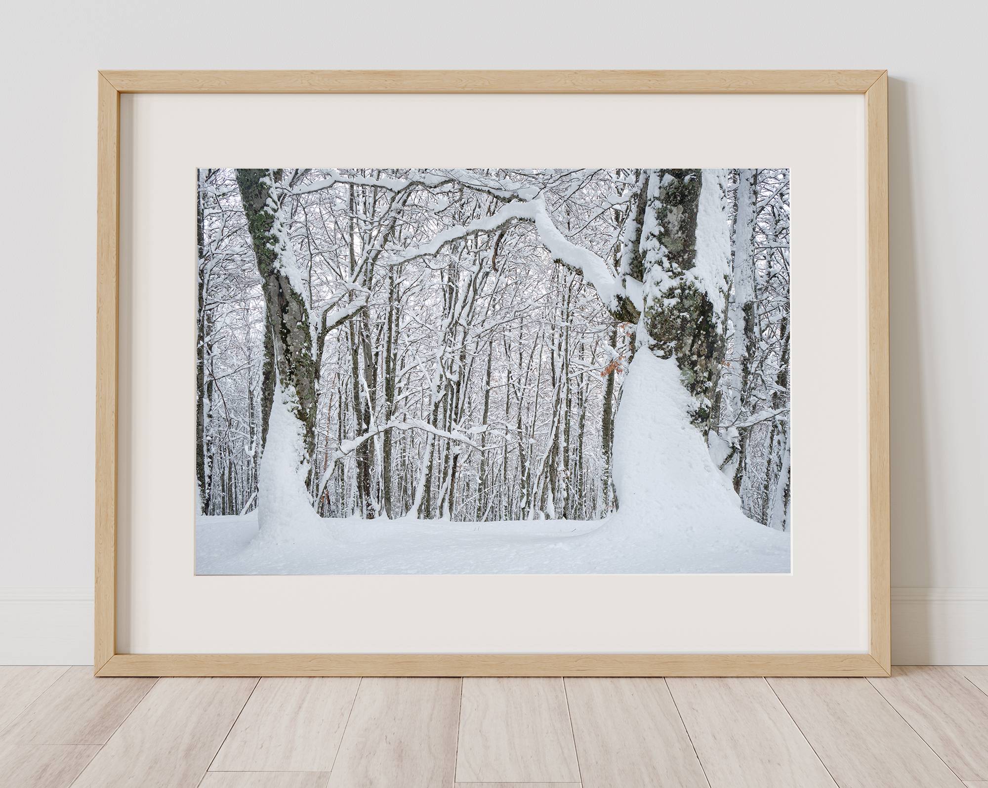 Bosque Saperu, nevado-2 - Imagen 3