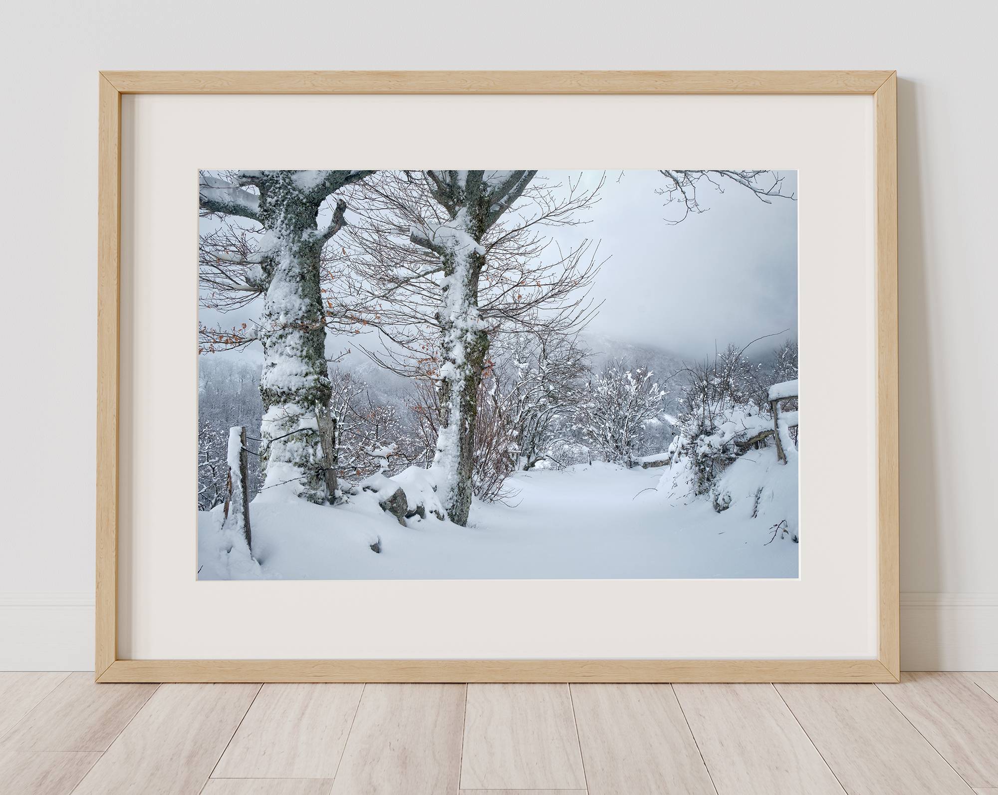 Paisaje invernal en Teverga - Imagen 3