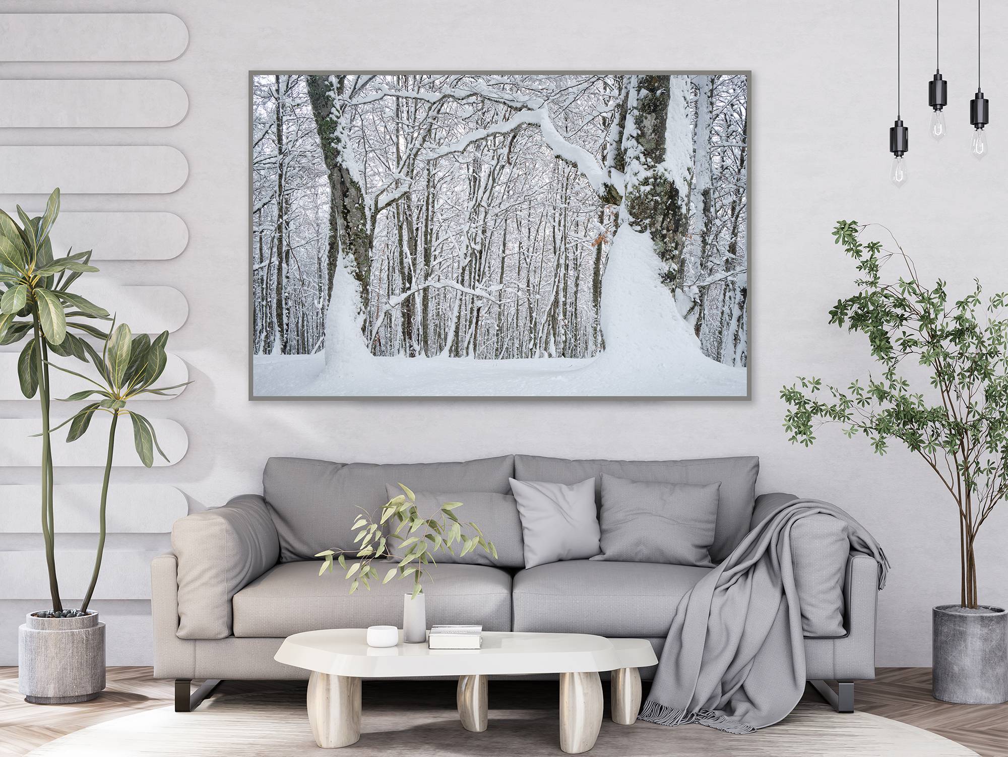 Bosque Saperu, nevado-2 - Imagen 4
