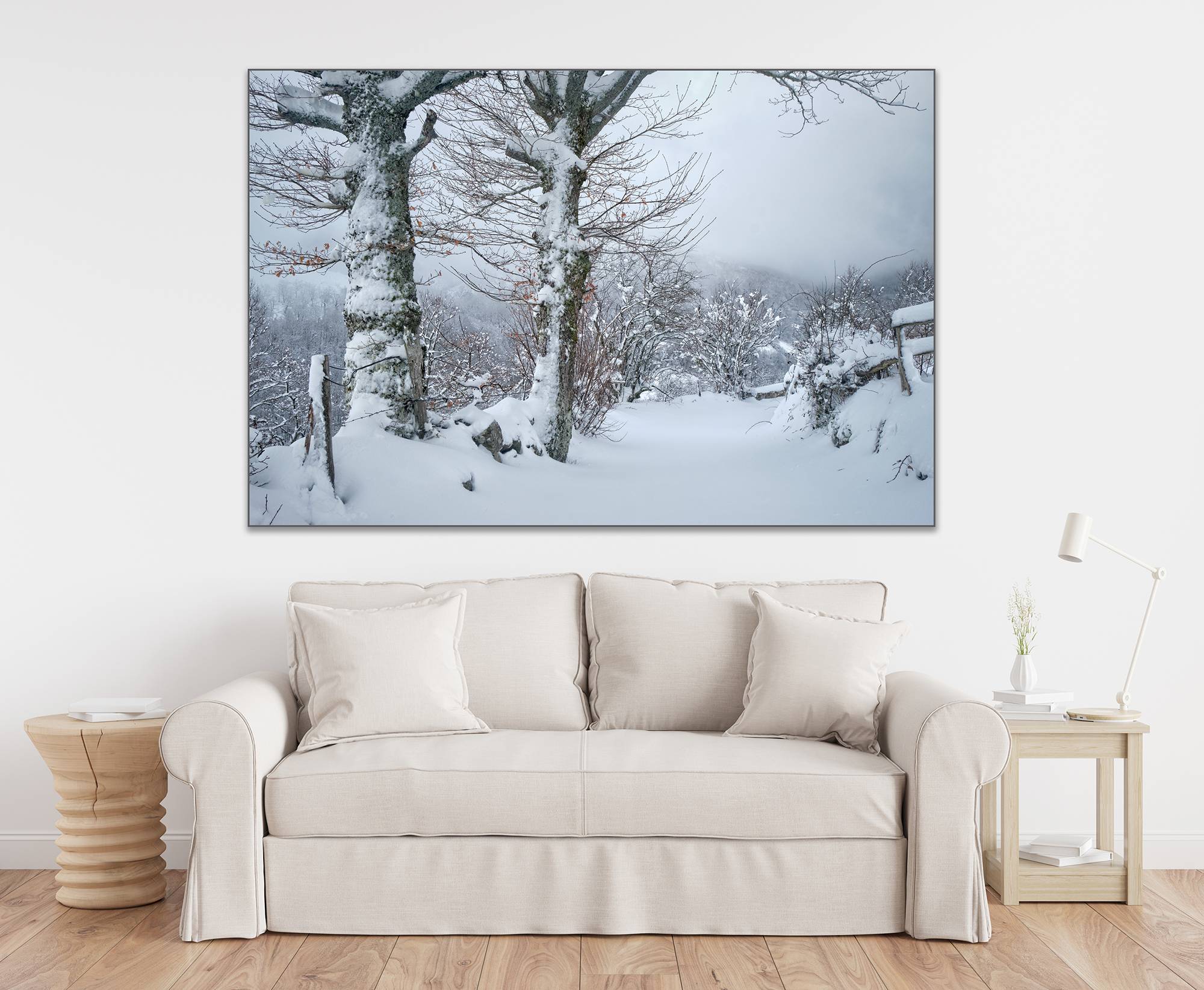 Paisaje invernal en Teverga - Imagen 4