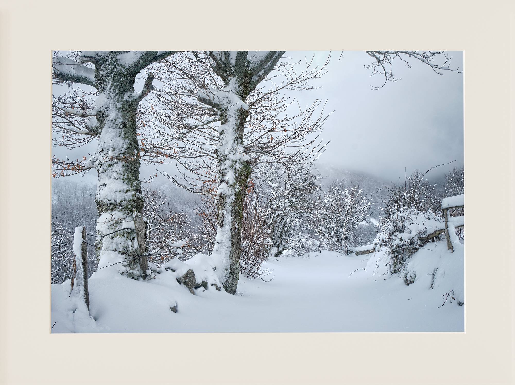 Paisaje invernal en Teverga - Imagen 2